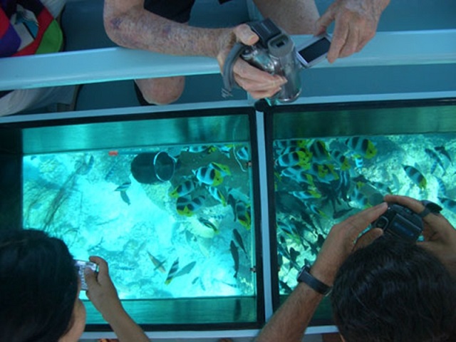 Neptune Submarine Tour in Aqaba, Jordan Neptune Submarine Tour in Aqaba, Jordan